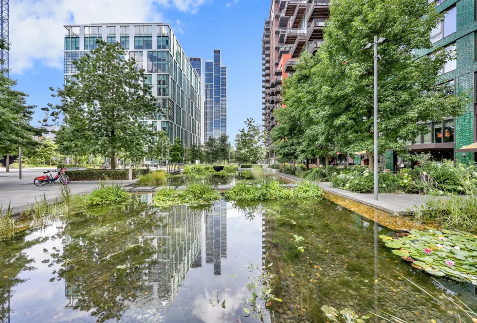 Lily pond in Linear Park at Embassy Gardens, Nine Elms