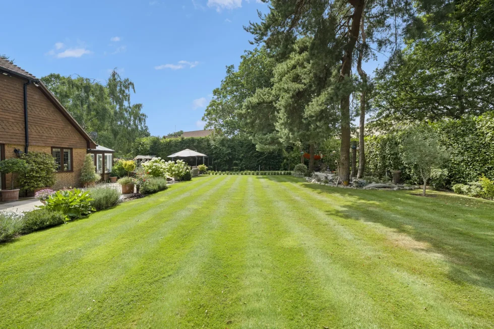 Striped lawn running the length of the rear garden, with planted borders and mature pines
