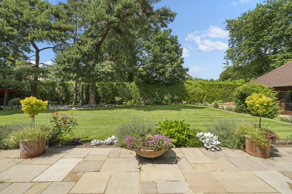 Sandstone terrace with planted borders and standard trees, looking across the lawn to beech hedging